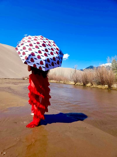 Image of Bolts & Roses sunbrella