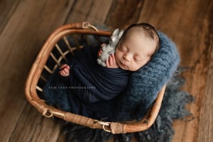 Image of Bunny with Heart or Classic