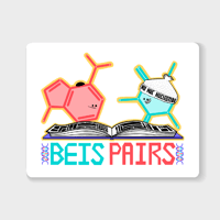 Image 1 of Beis Pairs Magnet