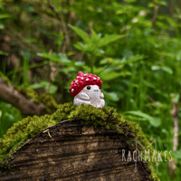 Image 1 of Mushroom Acorn Baby