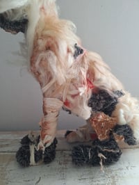 Image 18 of Molly Moggy. Large Creepy Witch Cat. Alternative Home Decoration. Halloween Scary Cat. Custom Made 
