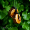 Blackthorn Faery Ring Pendants (PE1793)