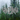 GOTHIC TRIBAL BANNER