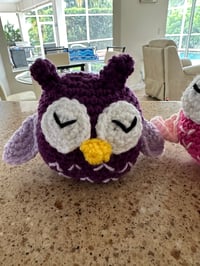 Image 2 of Tootsie the Owl