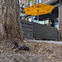 Image 3 of Rivoli x Queen and Spadina