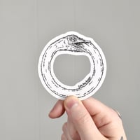Ostriboros
