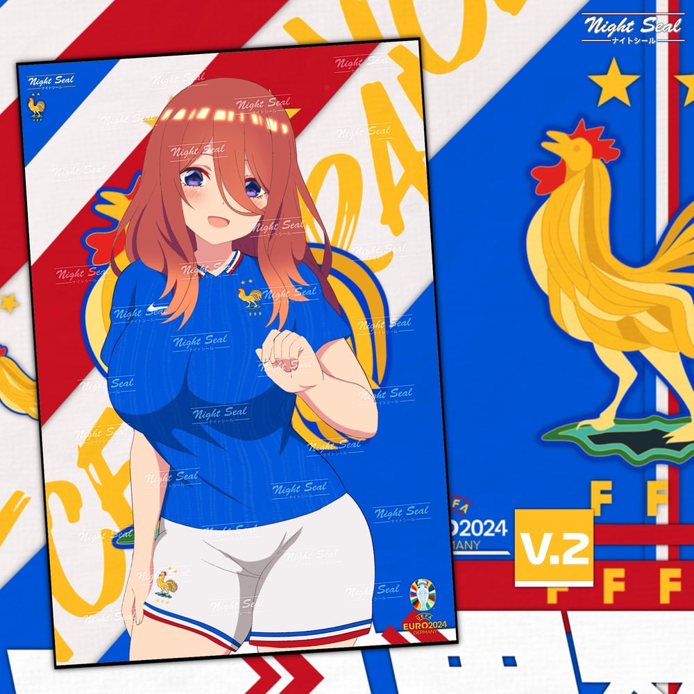 Image of FRANCE (UEFA Euro)