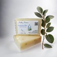 Eucalyptus Bliss (Body Soap) - FREE SHIPPING