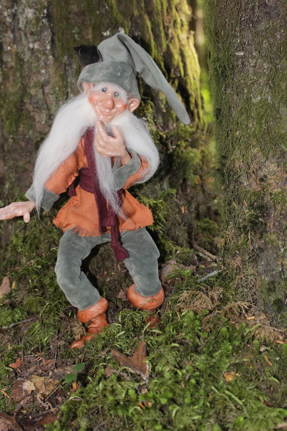 Image of Alaskan Gnome