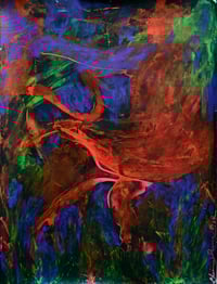 Image 1 of The fire within
