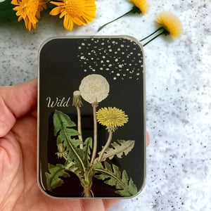 Image of Dandelion Notions tin