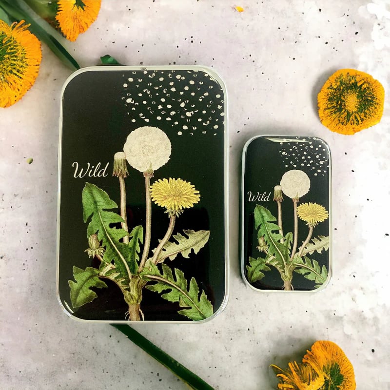 Image of Dandelion Notions tin