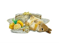 Lemon Drizzle Bunny Prints