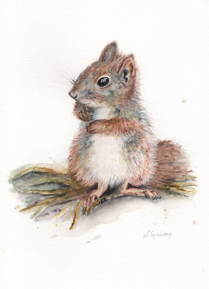 Image of I know I hid them somewhere really safe - A4 Original