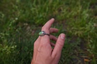 Image 2 of Pilot mountain turquoise (9)