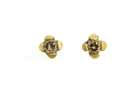 Image 1 of Contemporary 4-claw cognac coloured diamond studs in 18ct gold