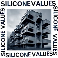 Silicone Values "How To Survive When People Don't Like You And You Don't Like Them" LP