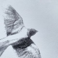 Image 3 of L'oiseau.x