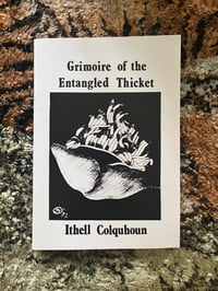 Grimoire of the Entangled Thicket by Ithell Colquhoun