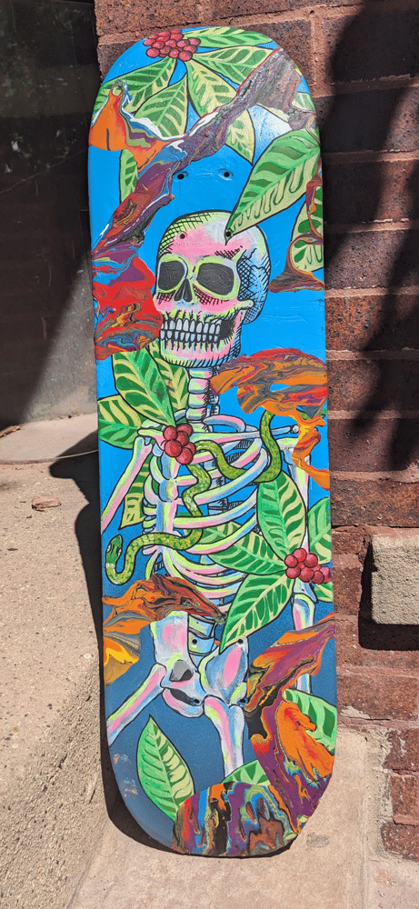 Image of Skeleton Skate board 