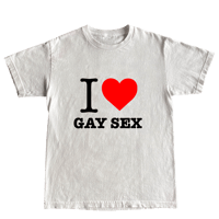 I heart gay sex shirt