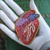 Anatomical Patches