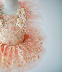 Image 3 of Peachy luxe outfit