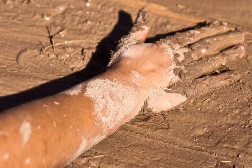Image of All 4 Summer/Fall 2025 Online Classes