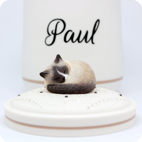 Image of Seal Point Siamese Cat Custom Pet Urn, All Color Points