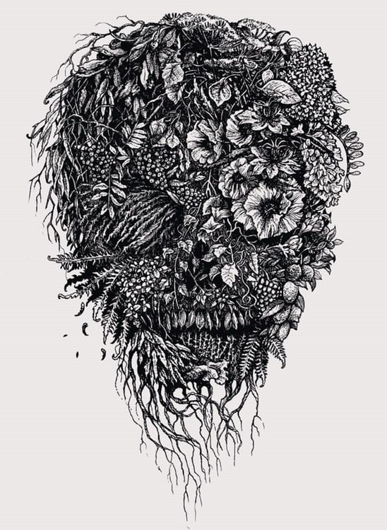 FLORAL SKULL art print