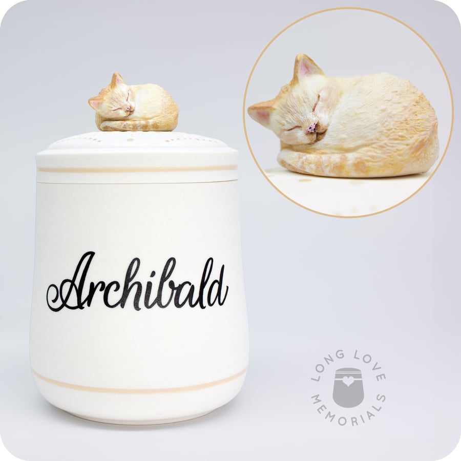Image of Corish Rex Cat Custom Pet Urn, Personalized Cat Urn for Ashes