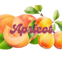 Image 1 of Apricot Jam 