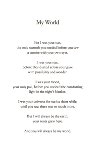 Image 4 of Beautiful Chaos - (signed copy)