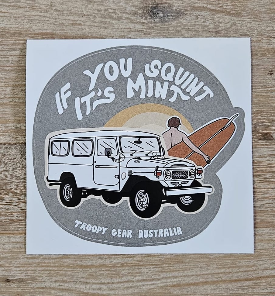 Image of 'If you squint, it's mint' 40 Series Vinyl Sticker