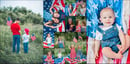 Image 3 of Patriotic Popsicles Mini Session