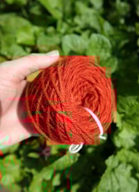 Image 3 of Naturally dyed yarn madder red wool