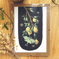 Image 1 of lemons & luna moth A5