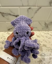 Image 1 of Baby Squid 