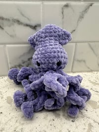 Image 2 of Baby Squid 