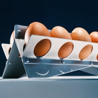 Image 3 of RTP-026: GBÊHANZIN_12 EGGS HOLDER