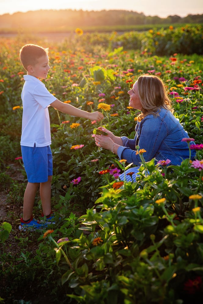 Image of Private Summer Blooms mini sessions