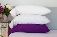 Image 1 of Ivory Solid Pillowcase