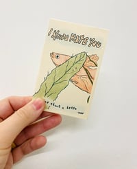 Image 1 of I Kinda Hate You | Fish Zine #1: Bettas