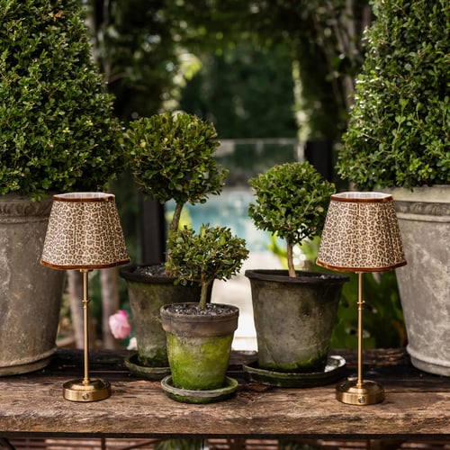 Image of Leopard Scallop Shade USB Table Lamp