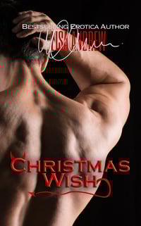 Image 4 of Christmas Wish SIGNED paperback