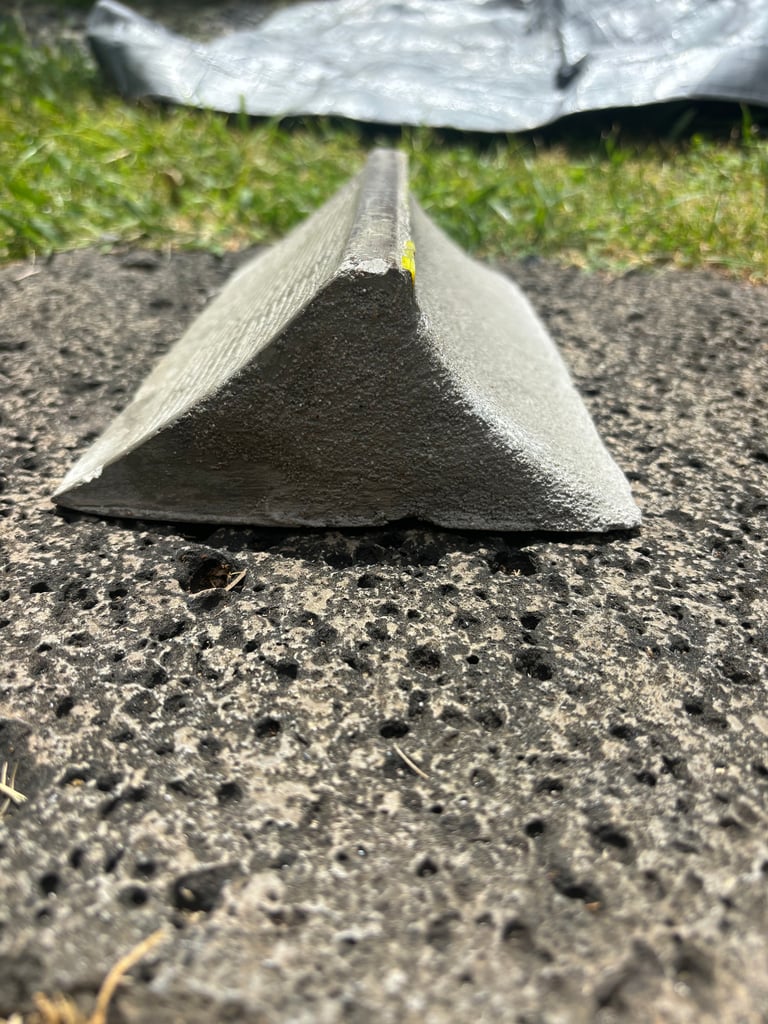 Simple Spine Image 3