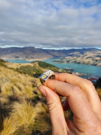 Image 3 of Lichen Signet