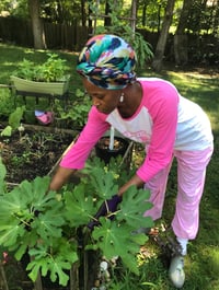 Private Gardening Consultations 