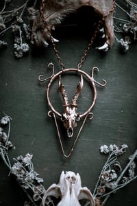 Image 3 of Roe skull necklace 
