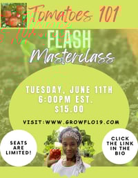 Flash Master Class Tomatoes 101-Recording